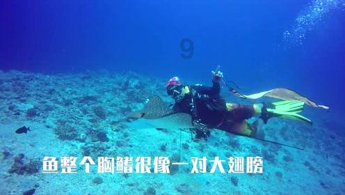 燃烧吧大脑免广告最新版