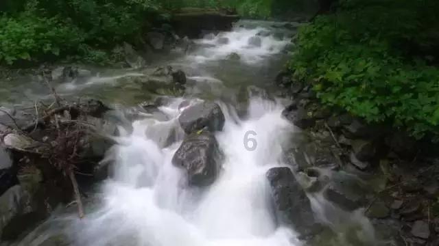 高级定制