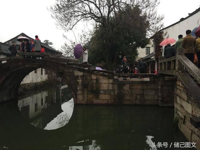 如何做白菜豆腐游戏画面